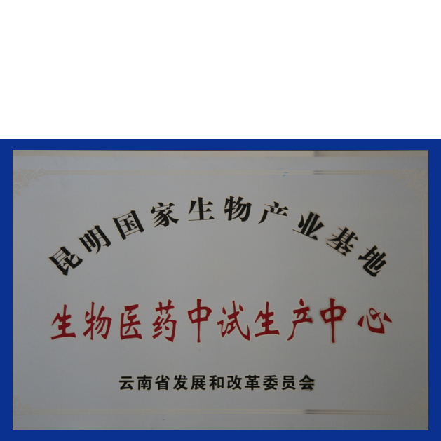抖圈(中国区)人生就是搏!